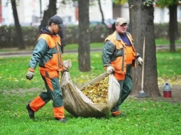 Уборка и клининг территории: как создать идеальную чистоту вокруг